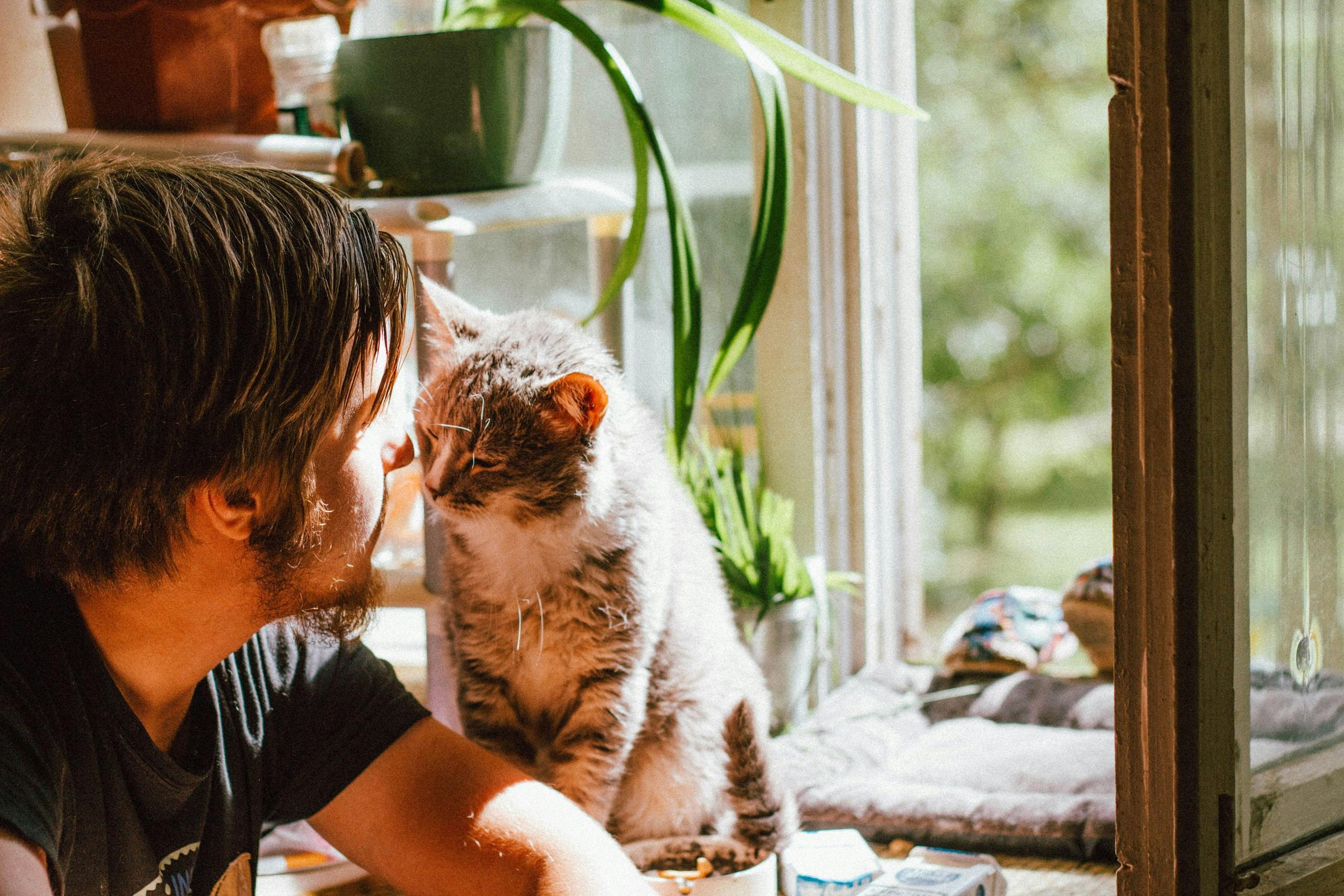 Guy with his cat on a desk