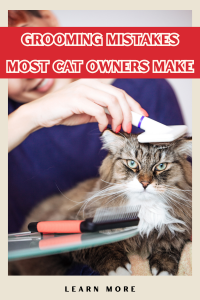 A long haired cat getting brushed. Grooming Mistakes Most Cat Owners Make