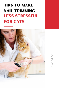 Woman clipping cat's nails